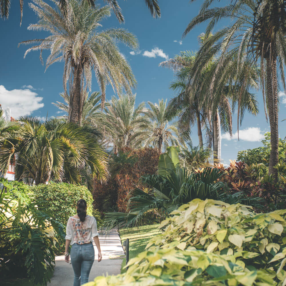 Hacienda San Jorge