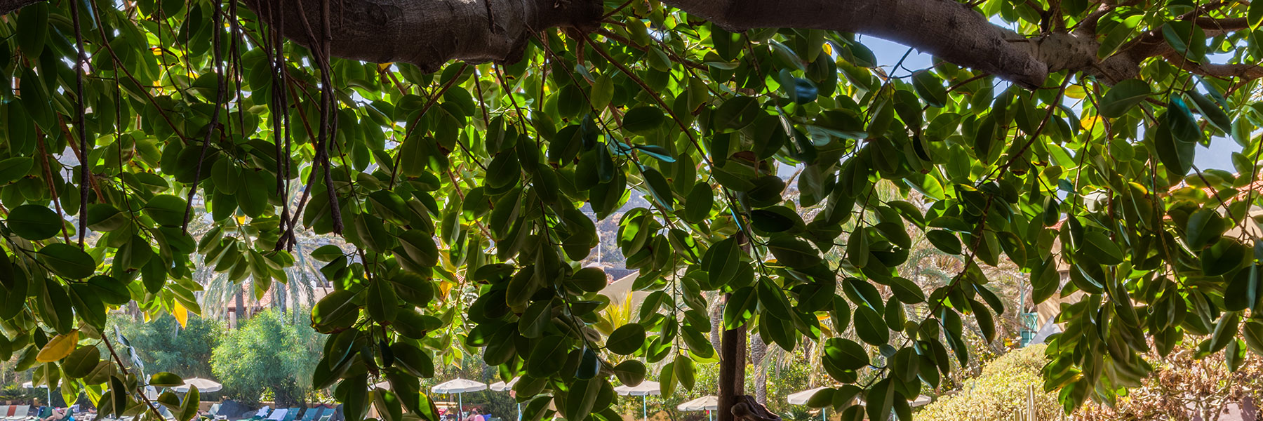 Hacienda San Jorge Hacienda San Jorge
